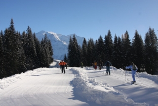  Iniciación al esquí nórdico 